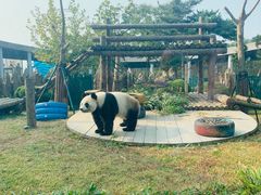 -大连森林动物园