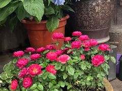 -龙姐私房菜(和顺古镇店)