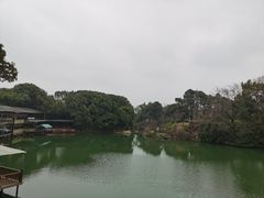 -张鸟园农家乐(张鸟园店)