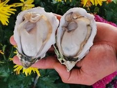 -蚝乡农庄(铁涌赤岸店)