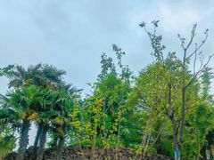 -太阳岛度假酒店