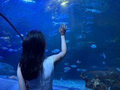 -太平洋海底世界