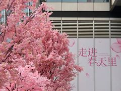 -首开·龙湖成都西宸天街