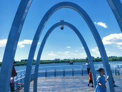 -大兴滨河森林公园