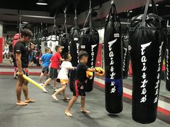 -TFC 纯泰拳馆MuayThai