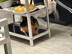 -吉友粥底火锅(方斜路店)