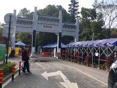 -东湖落雁景区