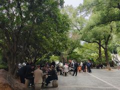 -白沙古井
