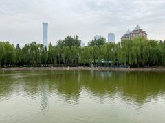 -团结湖公园