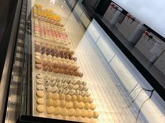 -BLACKSWAN黑天鹅(环球店)