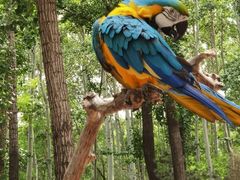 -北京野生动物园