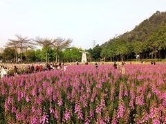-顺峰山公园