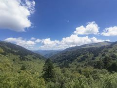 -大九湖