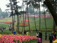 android_upload_pic-保利石象湖景区