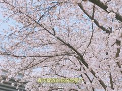 -南浦大桥长途旅游客运站