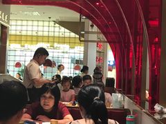 -南枝记