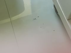 -伊兴面片·清真(五泉山店)