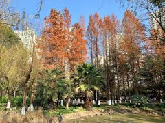 -苏州河梦清园环保主题公园