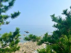 -养马岛旅游度假区