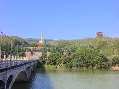 -中原大佛景区