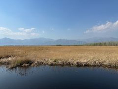 -野鸭湖国家湿地公园