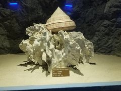 -北海·海洋之窗