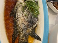 -高老庄新家宴(北斗星广场店)