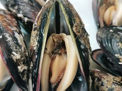 -金海湾海鲜排档(朱家尖店)