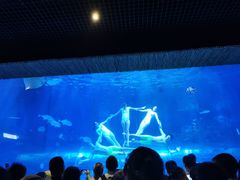 -华夏文旅海洋公园