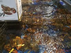 -盒马X会员店(王府井奥莱UP TOWN店)