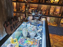 -雪灵魔法世界SHELLY’S TAROT(大良桂畔里店)