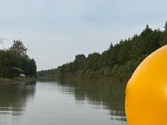 -合肥滨湖国家森林公园