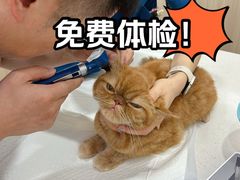 -申普宠物医院·眼科·心内科·影像科(普陀分院)