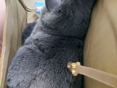 -PETKIT 小佩宠物·低压洗护·美容·寄养(安远店)