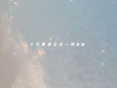 -杭州湾海上花田景区