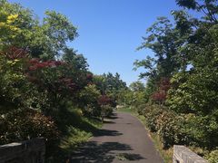 -嬉乐湾休闲旅游区