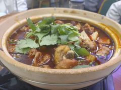 臭豆腐肥肠鸡煲-谢记上海大排档(长寿路店)
