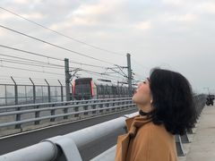 -海堤纪念公园
