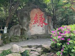 -杭州黄龙洞