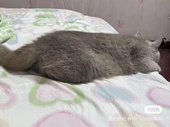 -DQ·蛋糕·冰淇淋(包河万达店)