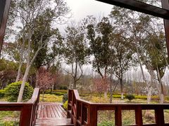 -昆山城市生态森林公园