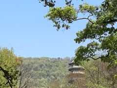 -灵谷景区