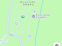 -天目山大树王景区