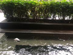 -明谷行馆·温泉