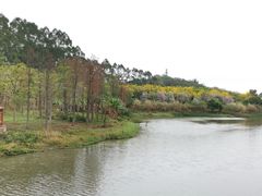 -广东花都湖国家湿地公园