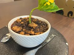 -Shantek象提南亚西餐厅&Bistro(淮海中路店)