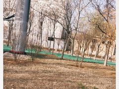 -张店儿童公园