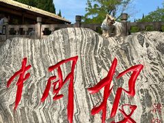 -大槐树寻根祭祖园