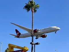-In-N-Out Burger(LAX)