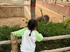 -石家庄市动物园